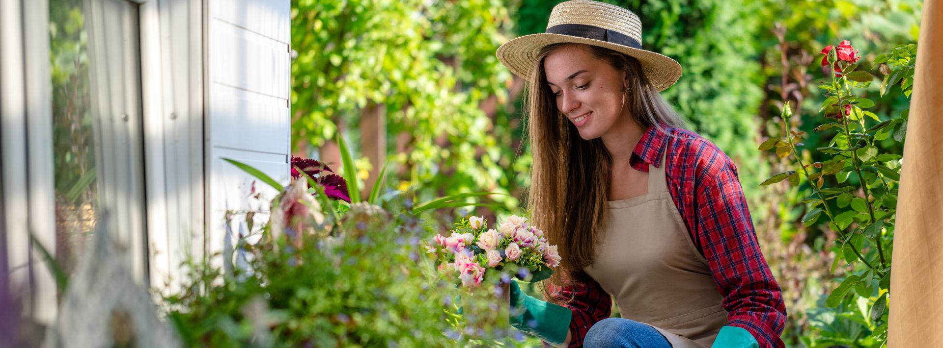 Goedkope Rijke Flora Winkel -Goedkope Rijke Flora Winkel FAQ Home Garden Desktop 1